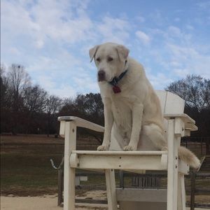 Meet your Posher, Jane